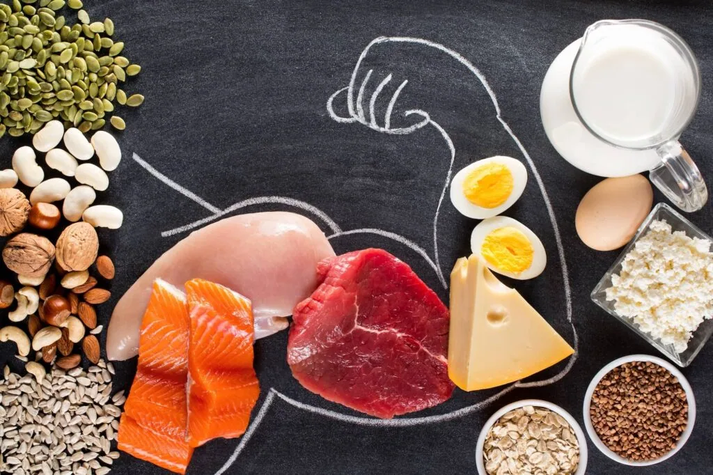 Protein-rich foods arranged on chalkboard including salmon, beef, eggs, cheese, milk, nuts, seeds, legumes, and grains with hand-drawn stomach illustration.