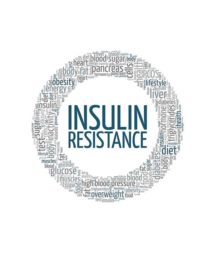 Insulin Resistance