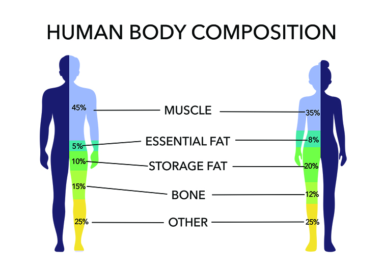 Weight Loss