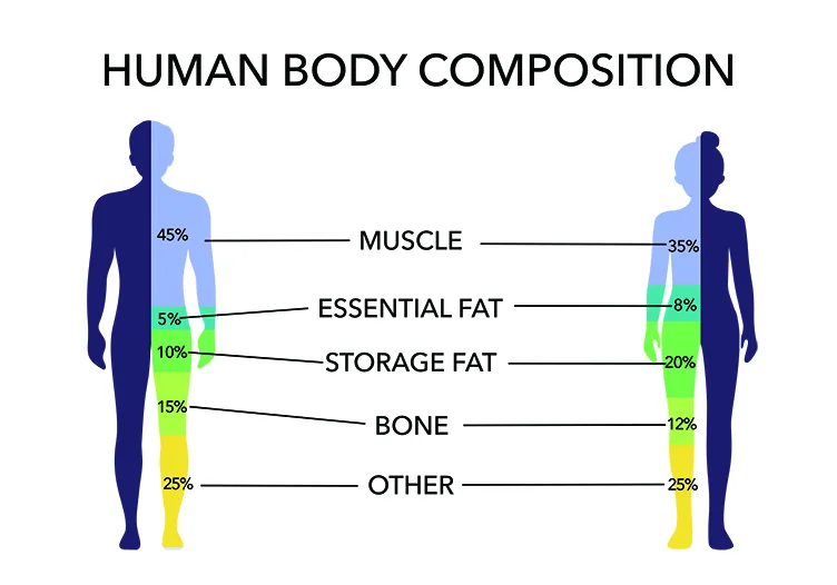 Weight Loss