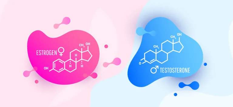 Estrogen and testosterone molecular structures displayed on pink and blue organic shapes with chemical formulas and gender symbols