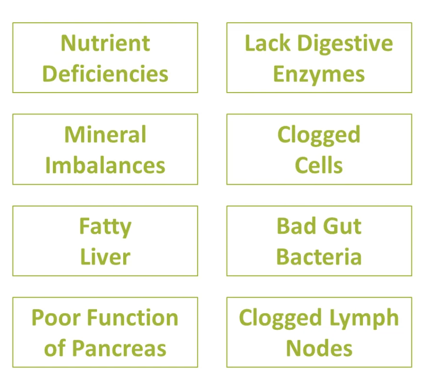 Eight health conditions in green text boxes: Nutrient Deficiencies, Lack Digestive Enzymes, Mineral Imbalances, Clogged Cells, Fatty Liver, Bad Gut Bacteria, Poor Function of Pancreas, Clogged Lymph Nodes