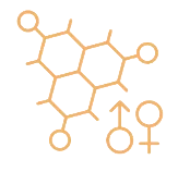 Molecular structure diagram with connected hexagonal rings and chemical bonds in orange outline